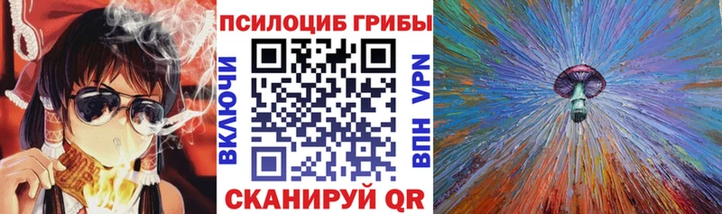 Псилоцибиновые грибы MAGIC MUSHROOMS  Купить  Александров 